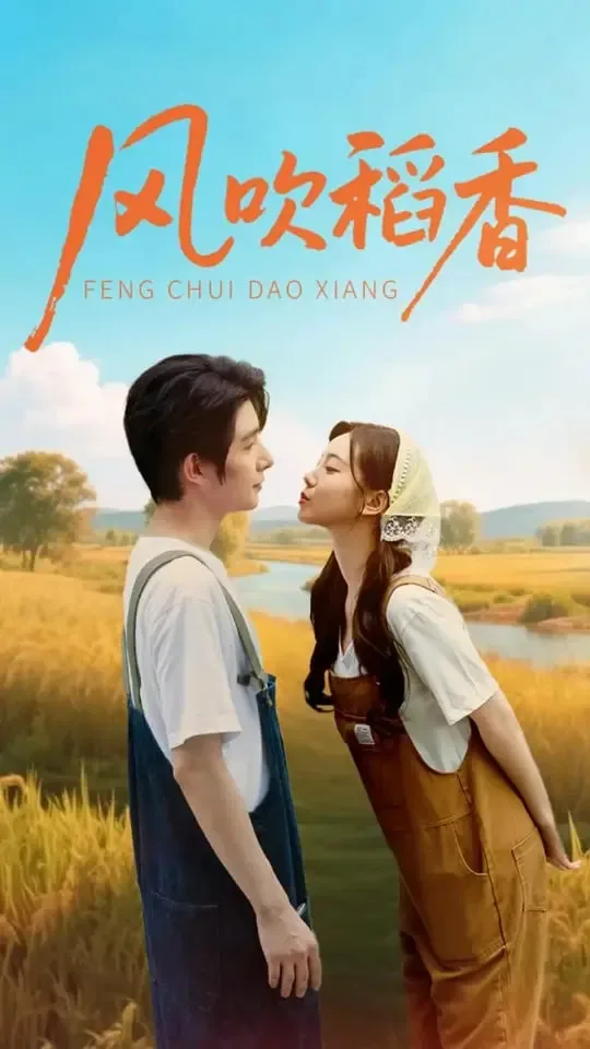 风吹稻香海报