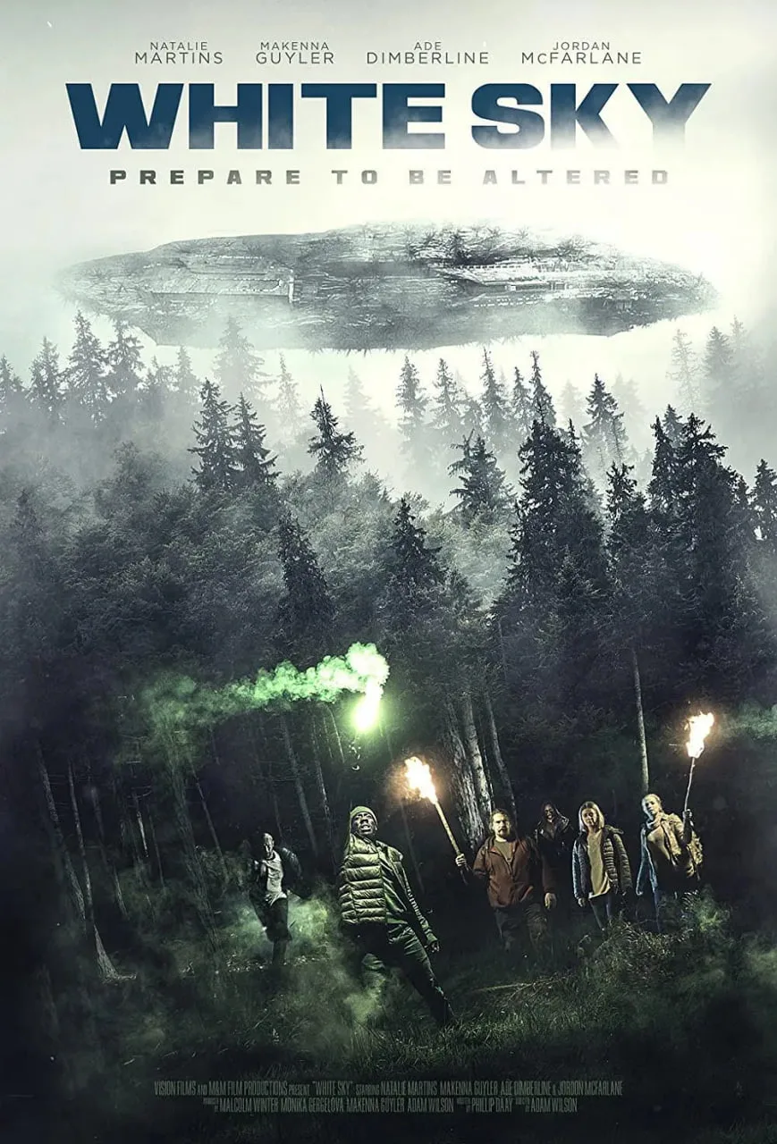 苍白天空海报