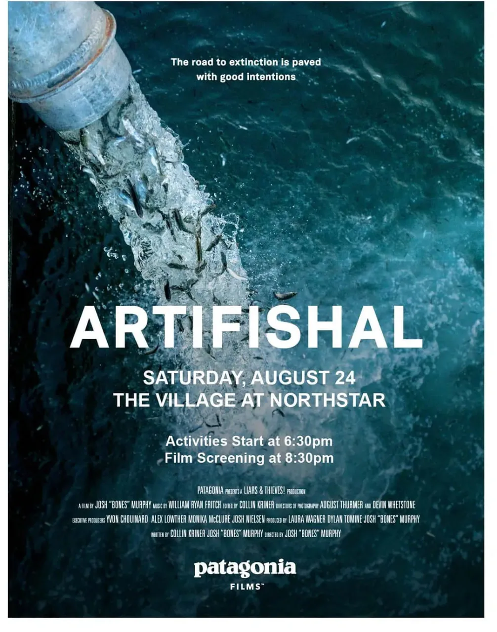 Artifishal海报
