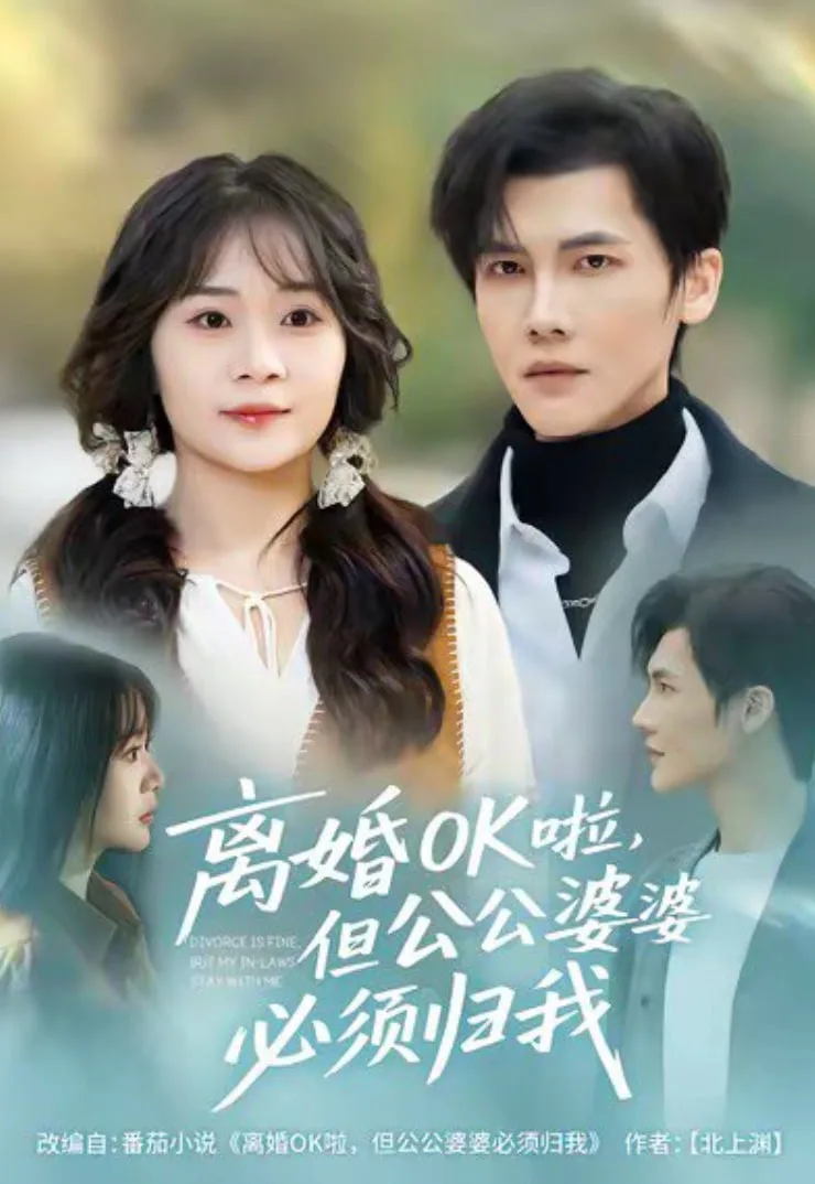 离婚OK啦，但公公婆婆必须归我海报