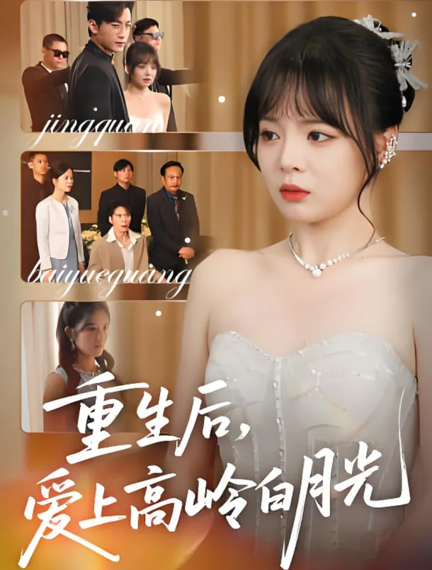 重生后爱上高岭白月光海报