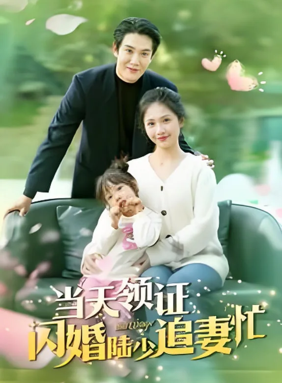 当天领证闪婚陆少追妻忙海报