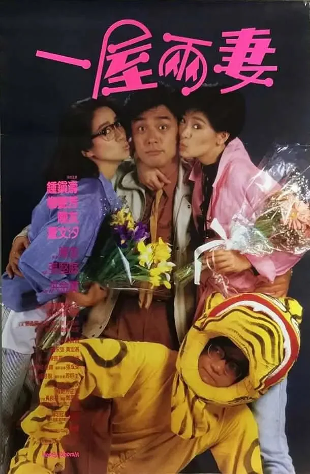 一屋两妻海报