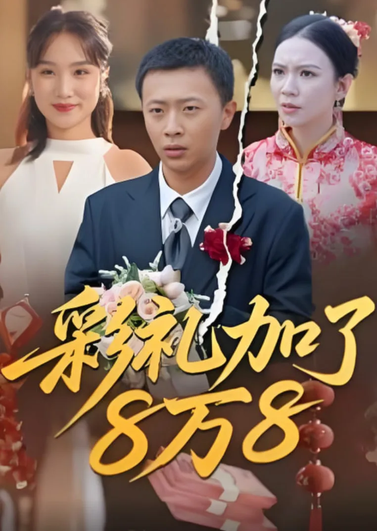 彩礼加了8万8海报