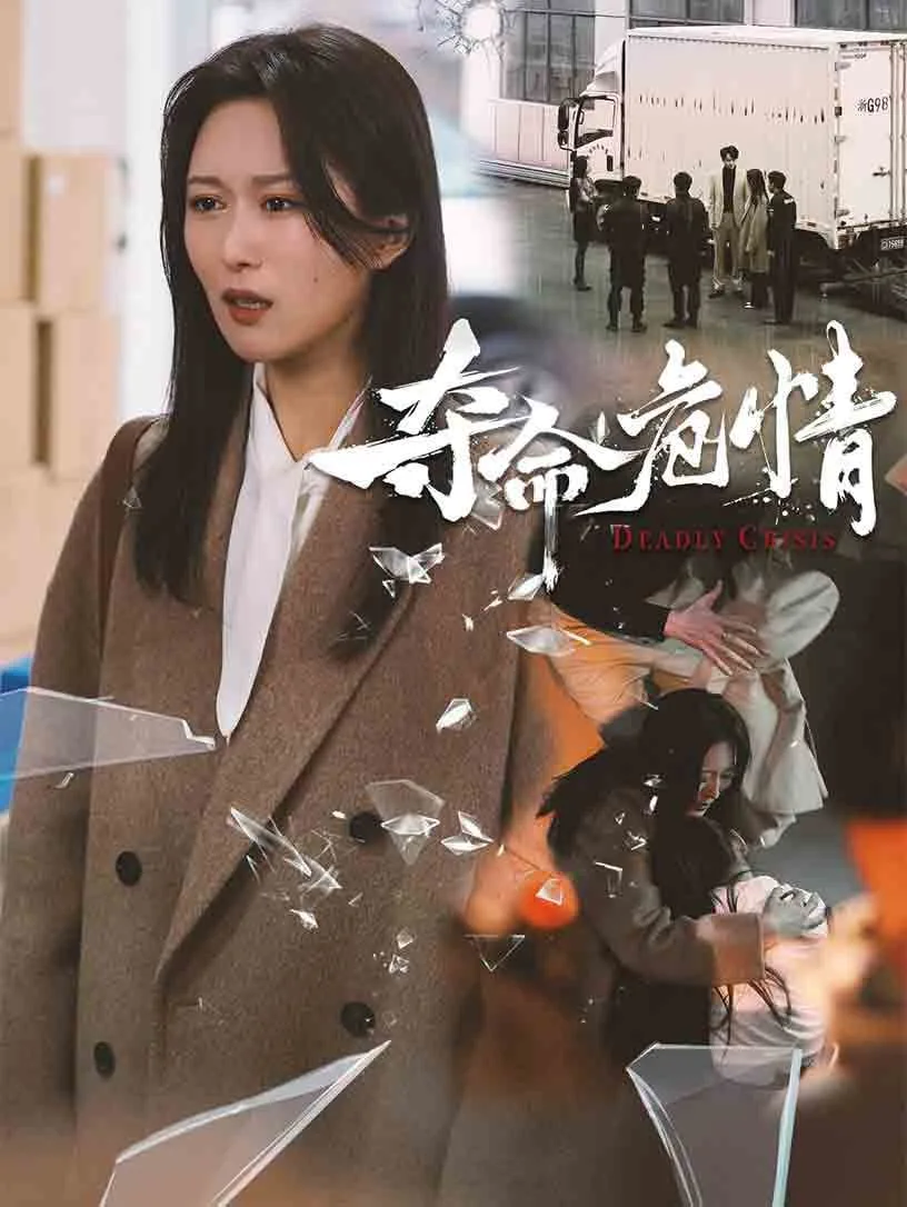 夺命危情海报