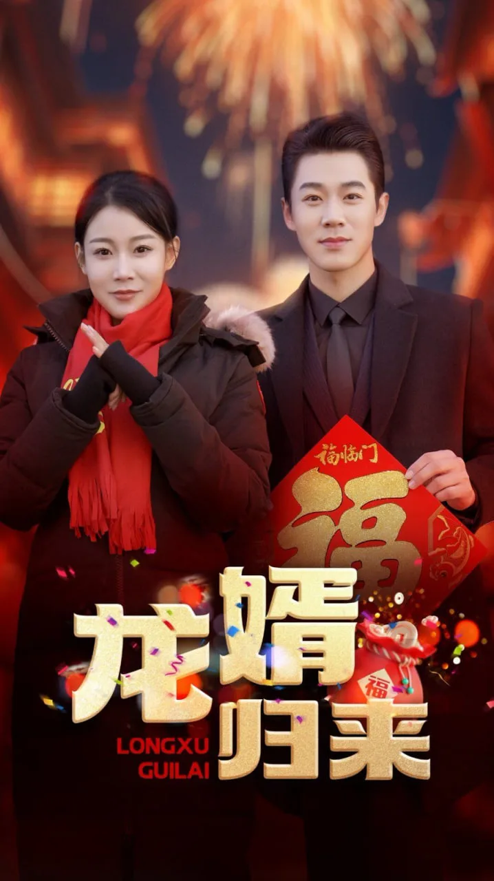 龙婿归来海报