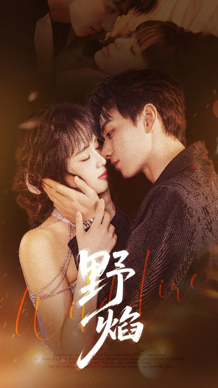野焰海报