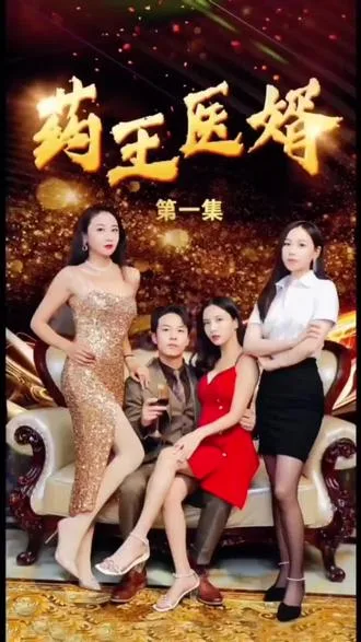 药王医婿海报