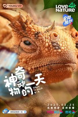 神奇动物的一天 第一季海报