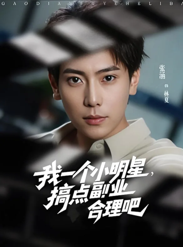 我一个小明星，搞点副业合理吧海报
