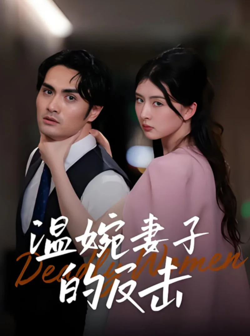 温婉妻子的反击海报
