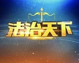 法治天下海报