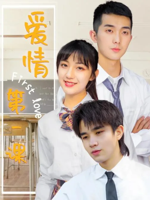 爱情第一课海报