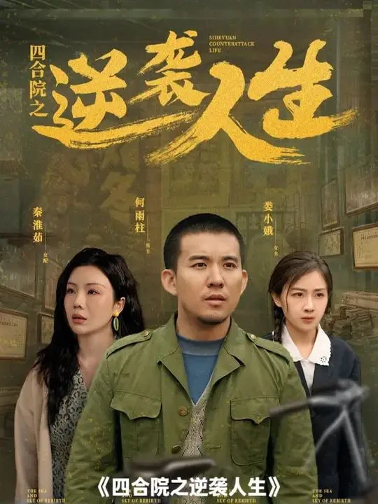 四合院之逆袭人生海报