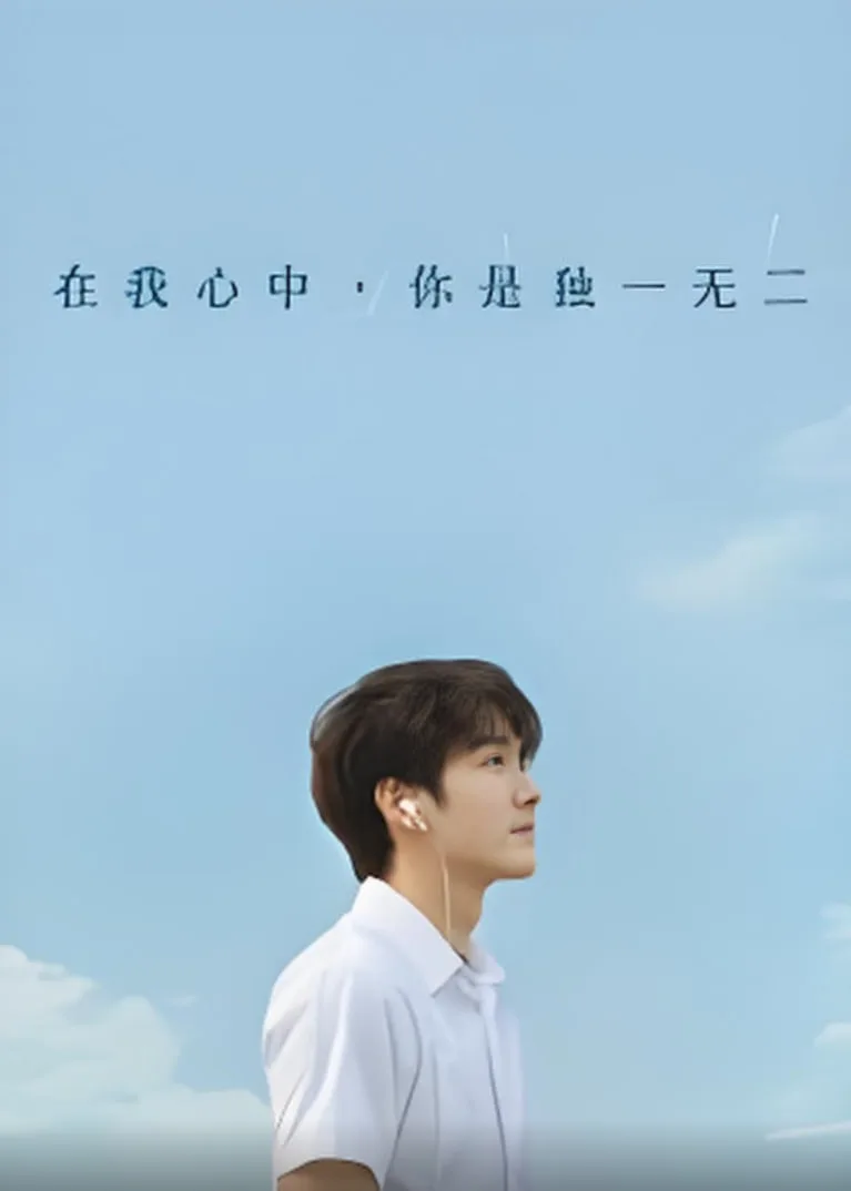 在我心中你是独一无二海报