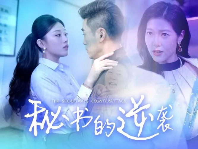 秘书的逆袭海报
