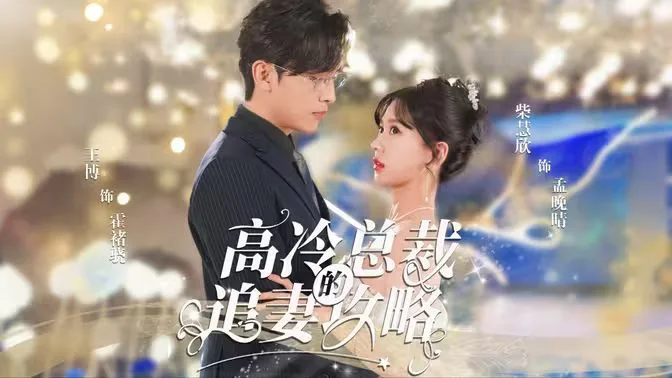 高冷总裁的追妻攻略海报
