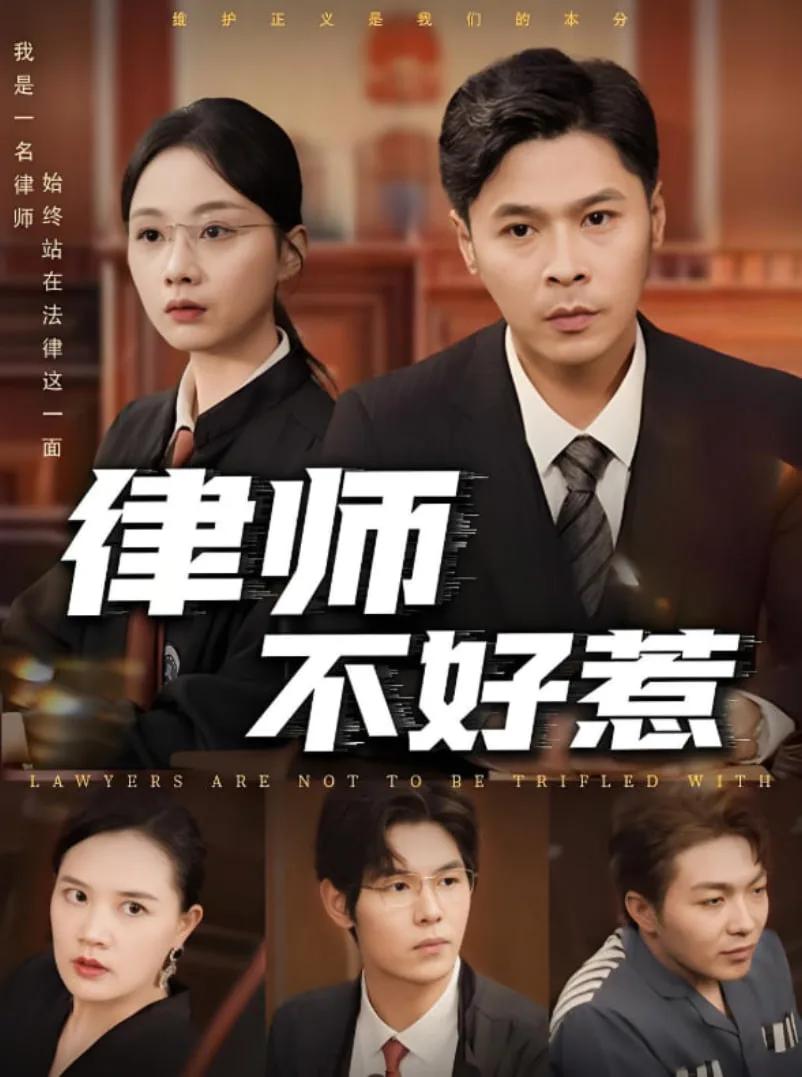 律师不好惹海报