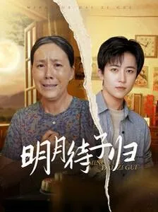 明月待子归海报