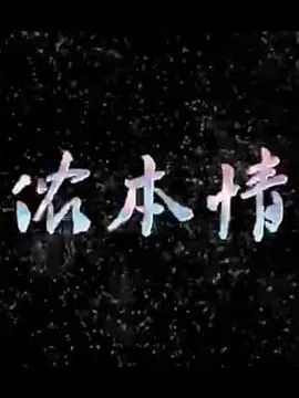 侬本情海报