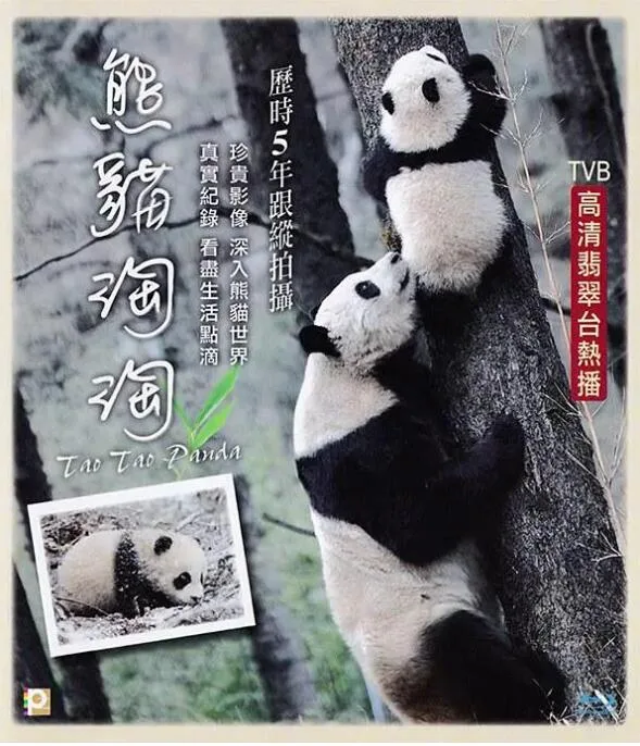 熊猫淘淘海报