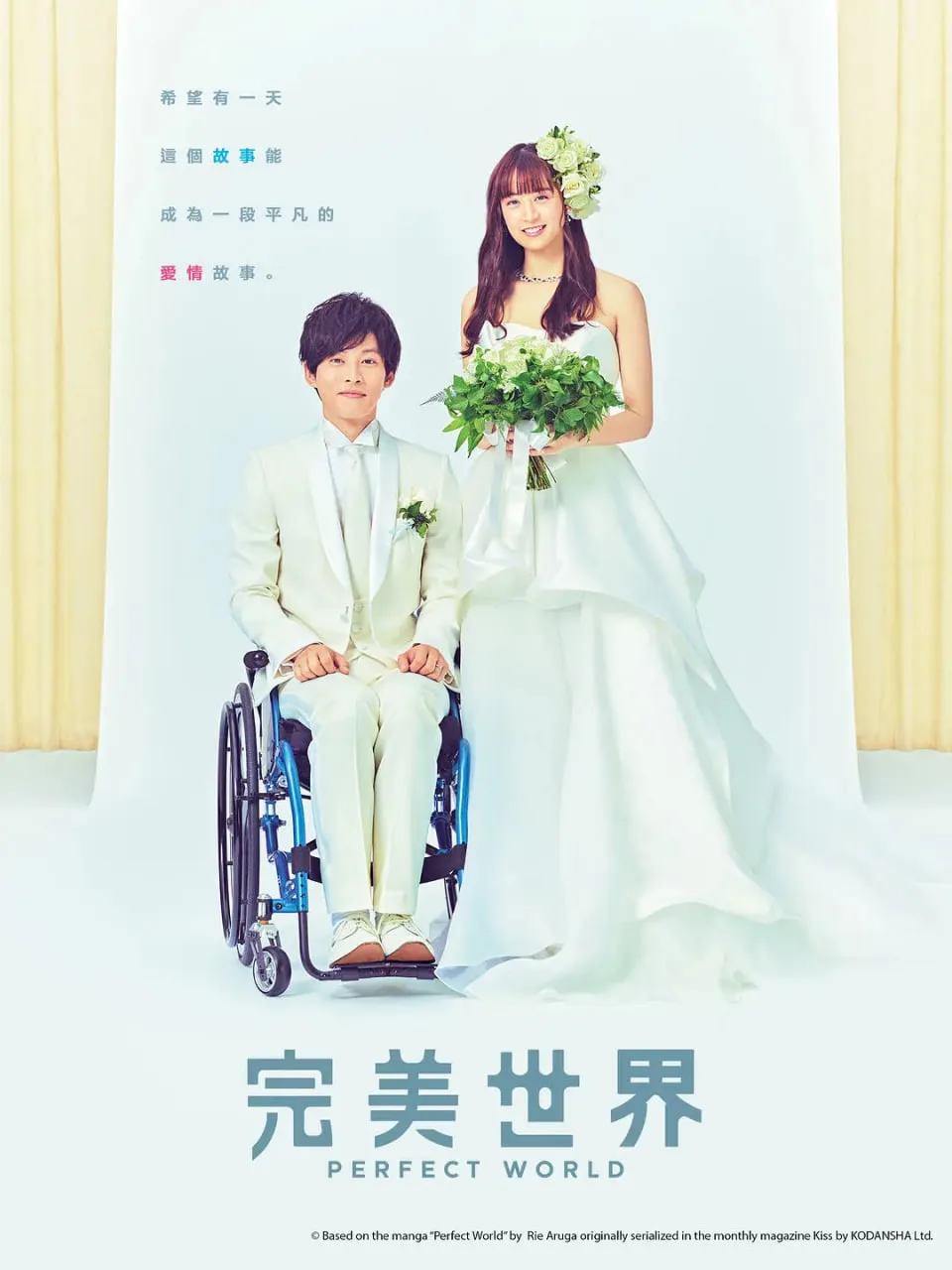 完美的世界海报