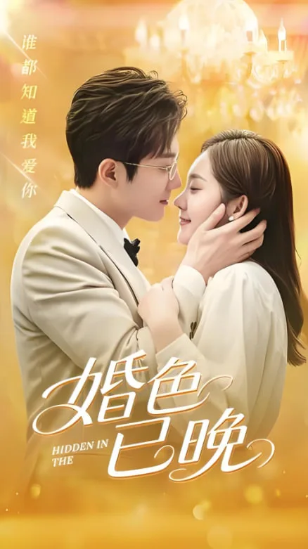 婚色已晚海报
