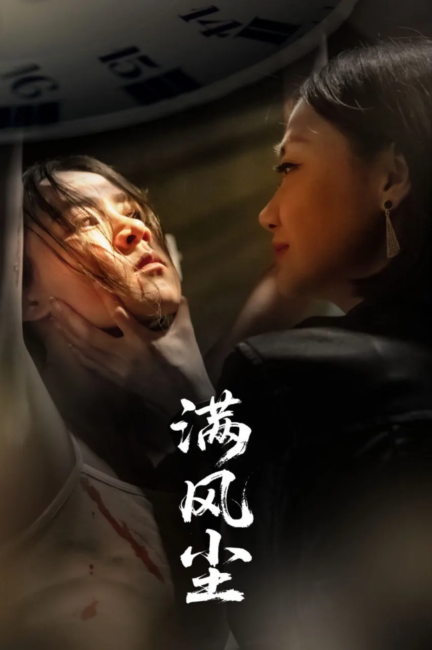 满风尘海报