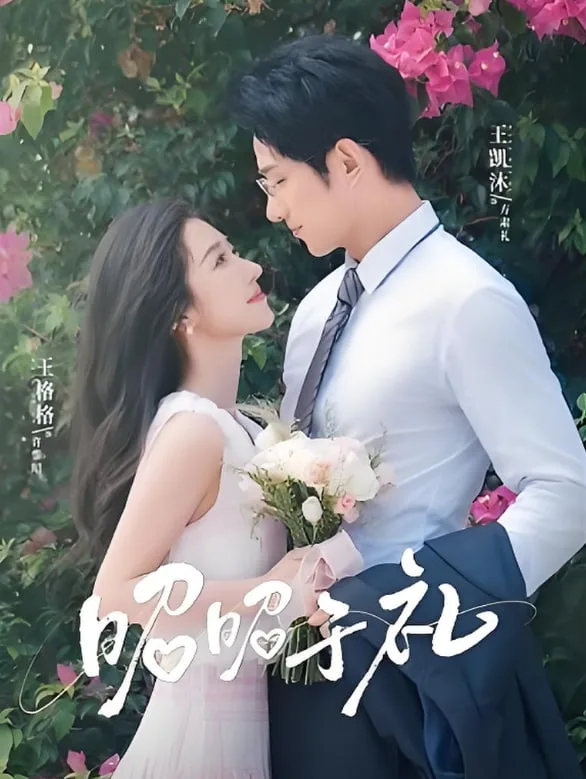 昭昭于礼海报
