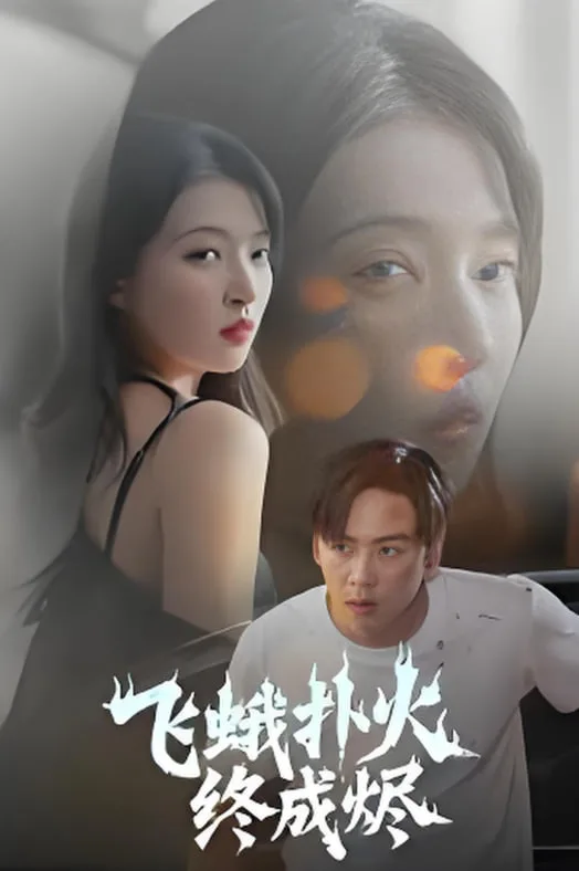 飞蛾扑火终成烬海报