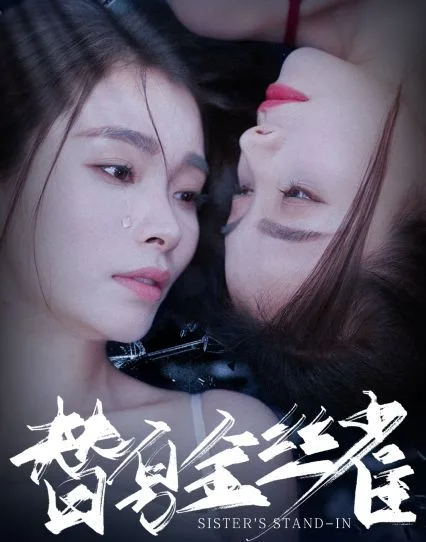 替身金丝雀海报