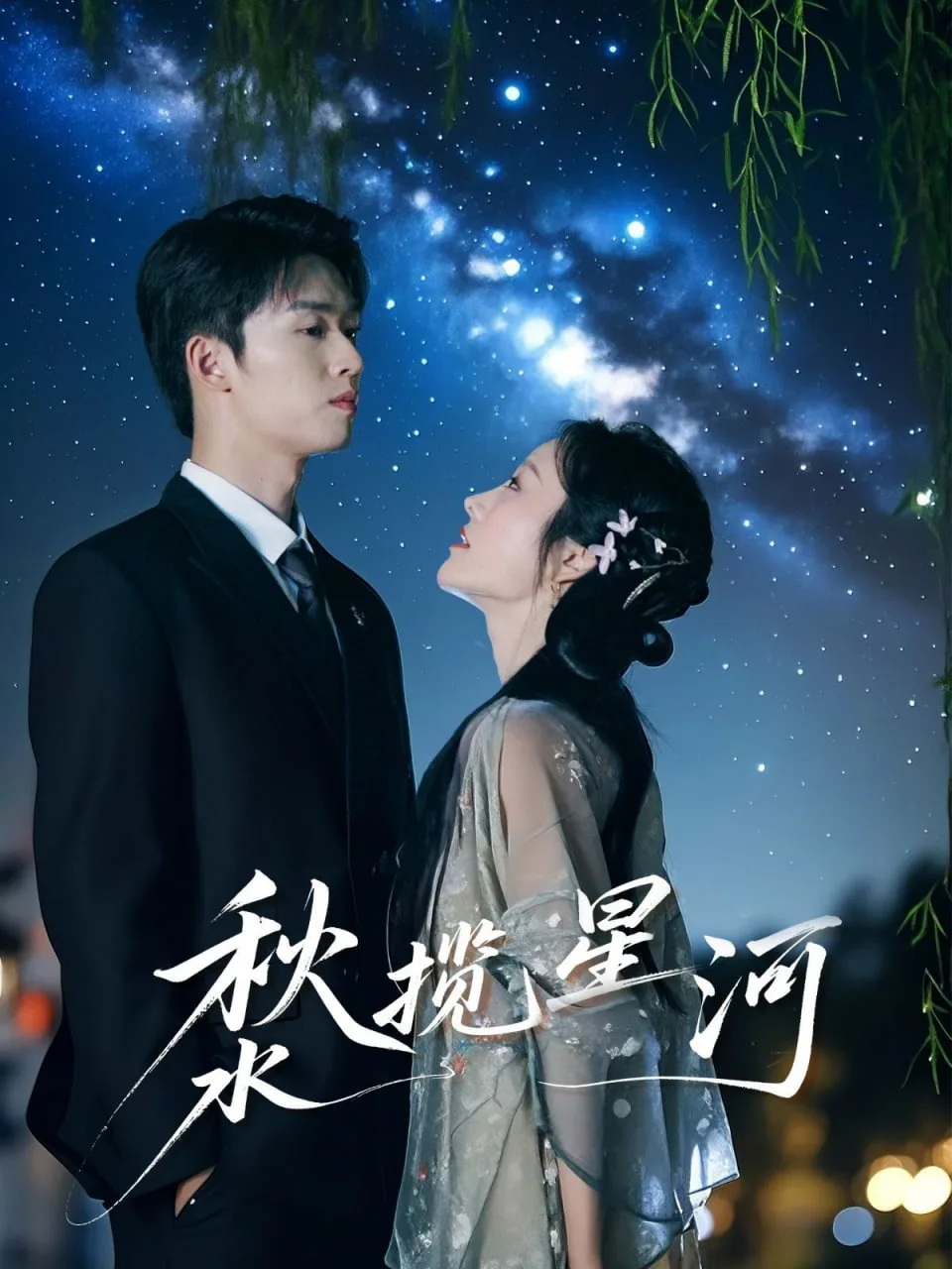 秋水揽星河海报