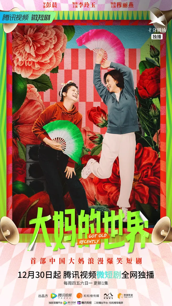 大妈的世界海报