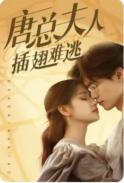唐总夫人插翅难逃海报