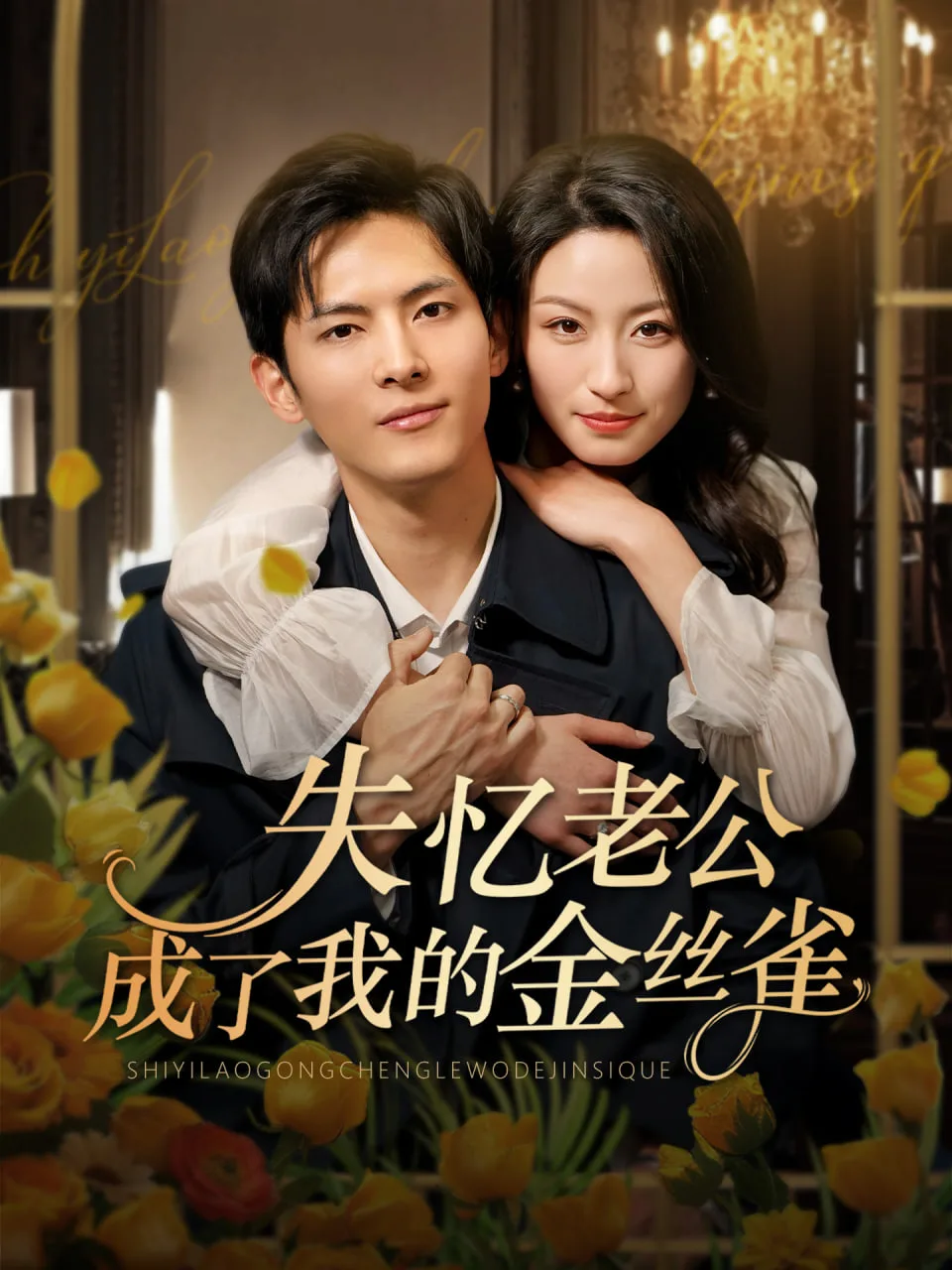 失忆老公成了我的金丝雀海报
