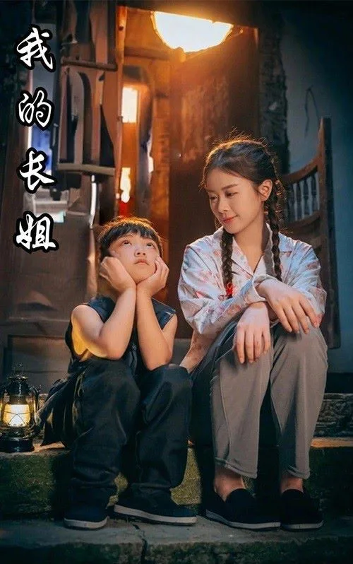 我的长姐（何以为家）海报