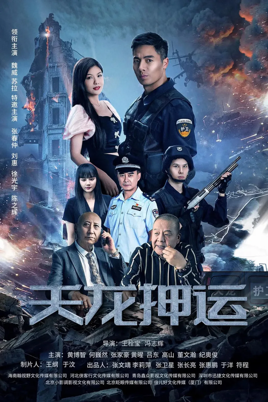 天龙押运海报