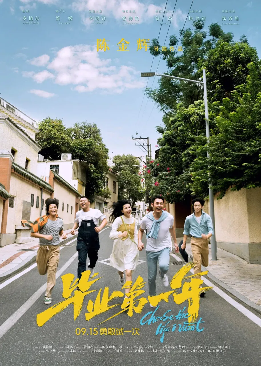 毕业第一年海报