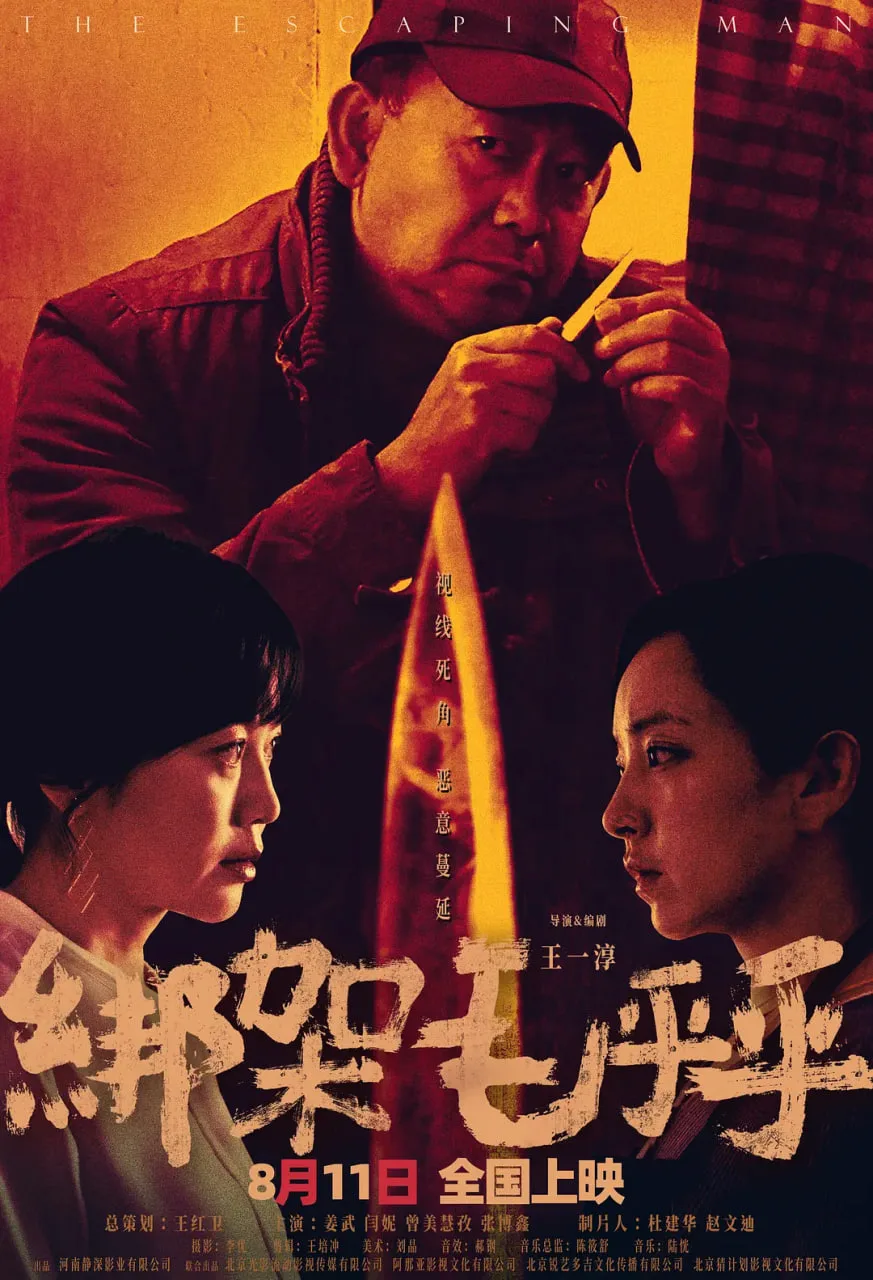绑架毛乎乎海报