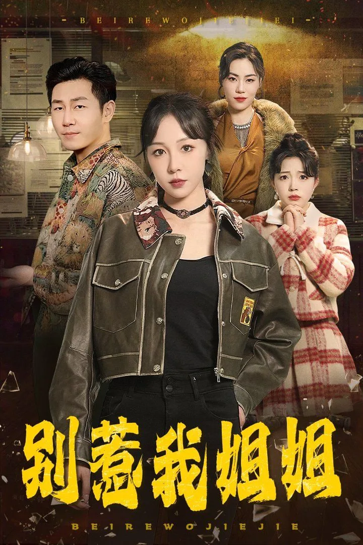 别惹我姐姐海报