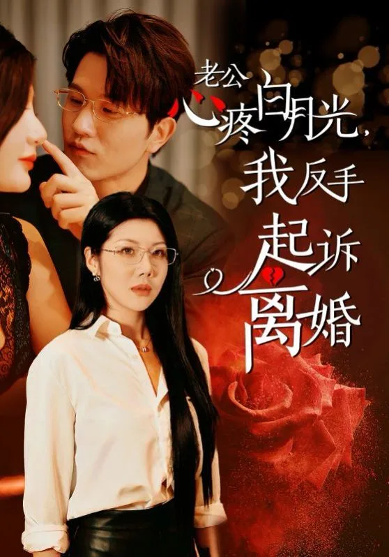 老公疼白月光我反手起诉离婚海报