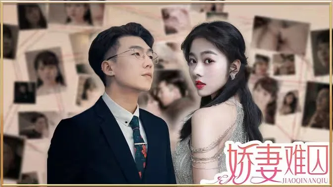 新娇妻难囚海报