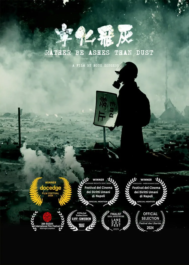 宁化飞灰海报