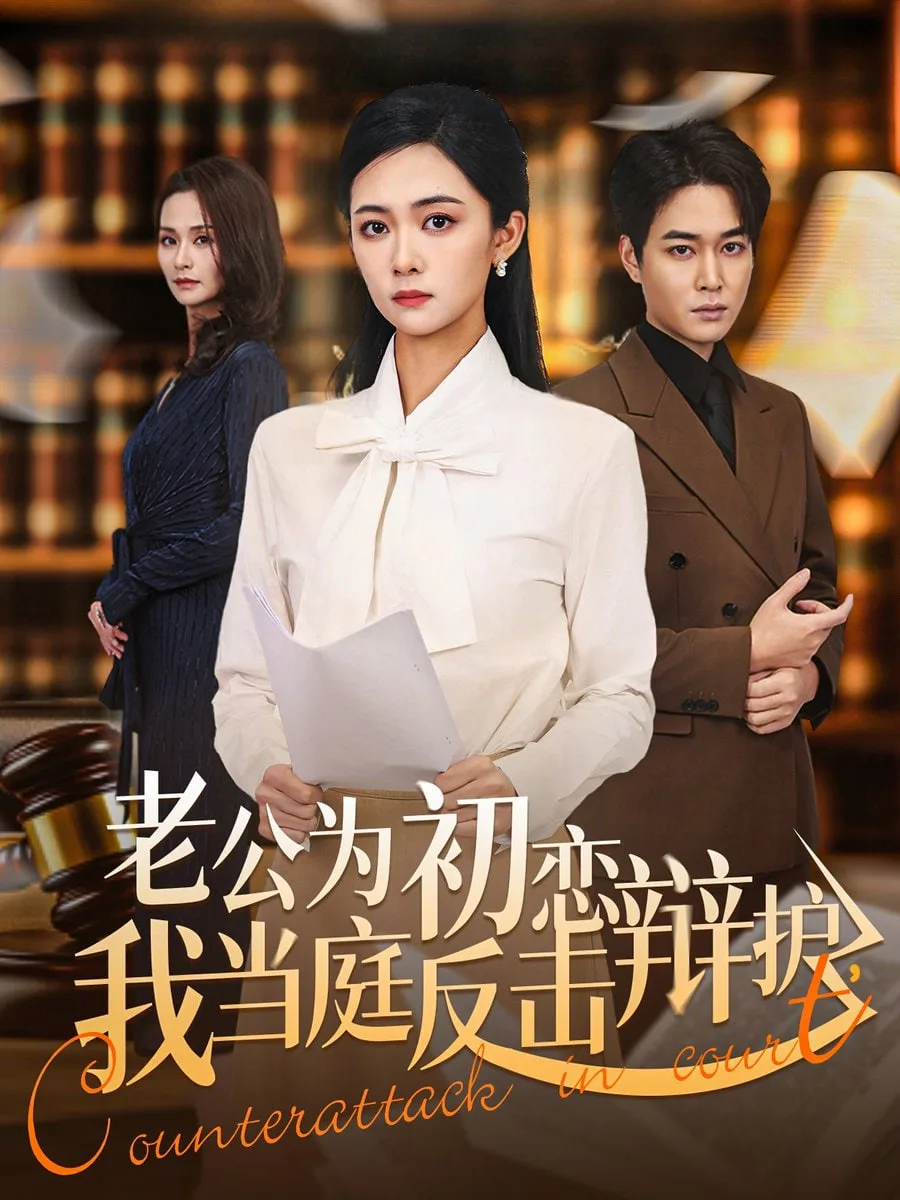 老公为初恋辩护，我当庭反击海报