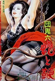 蛇与鞭海报
