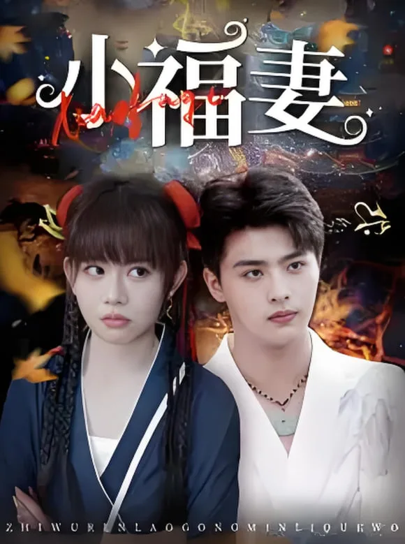 小福妻海报