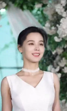 奈何少将要娶我海报
