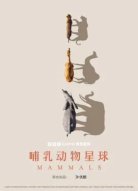 哺乳动物星球海报