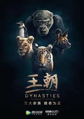 王朝 第一季 英语版海报