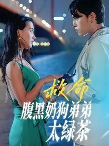 救命腹黑奶狗弟弟太绿茶海报